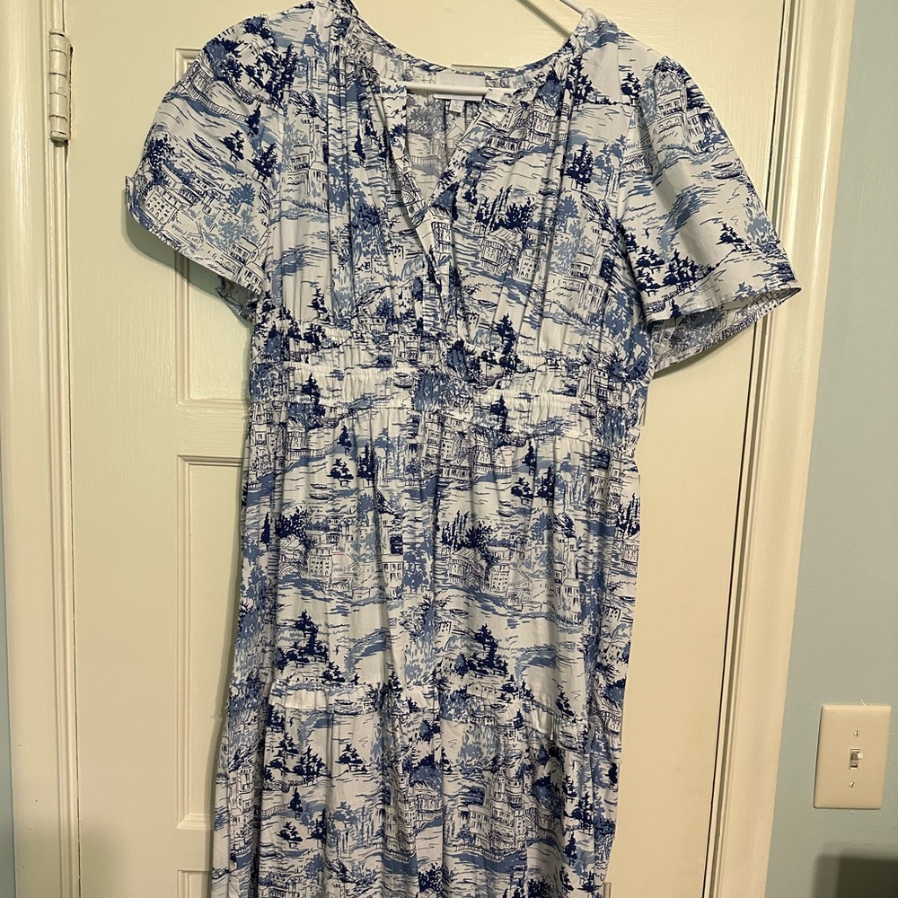 Sugarlips Blue and White Scenic Midi Dress